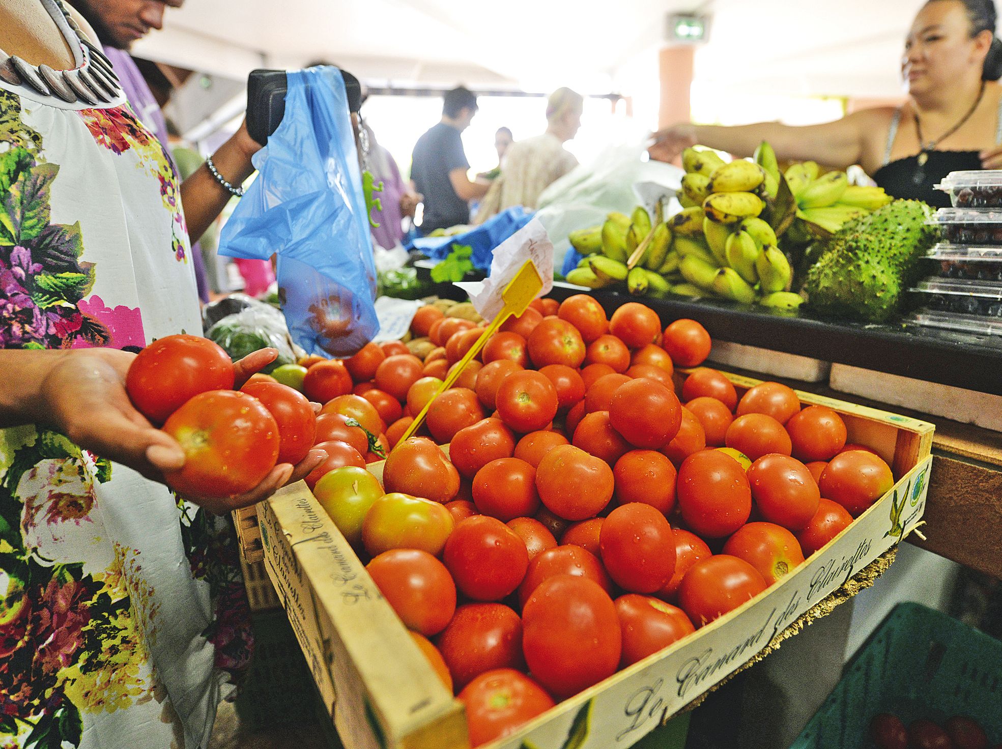 Le soutien à l'agriculture est d'autant plus nécessaire que la dépendance alimentaire du pays ne fait que s'aggraver.