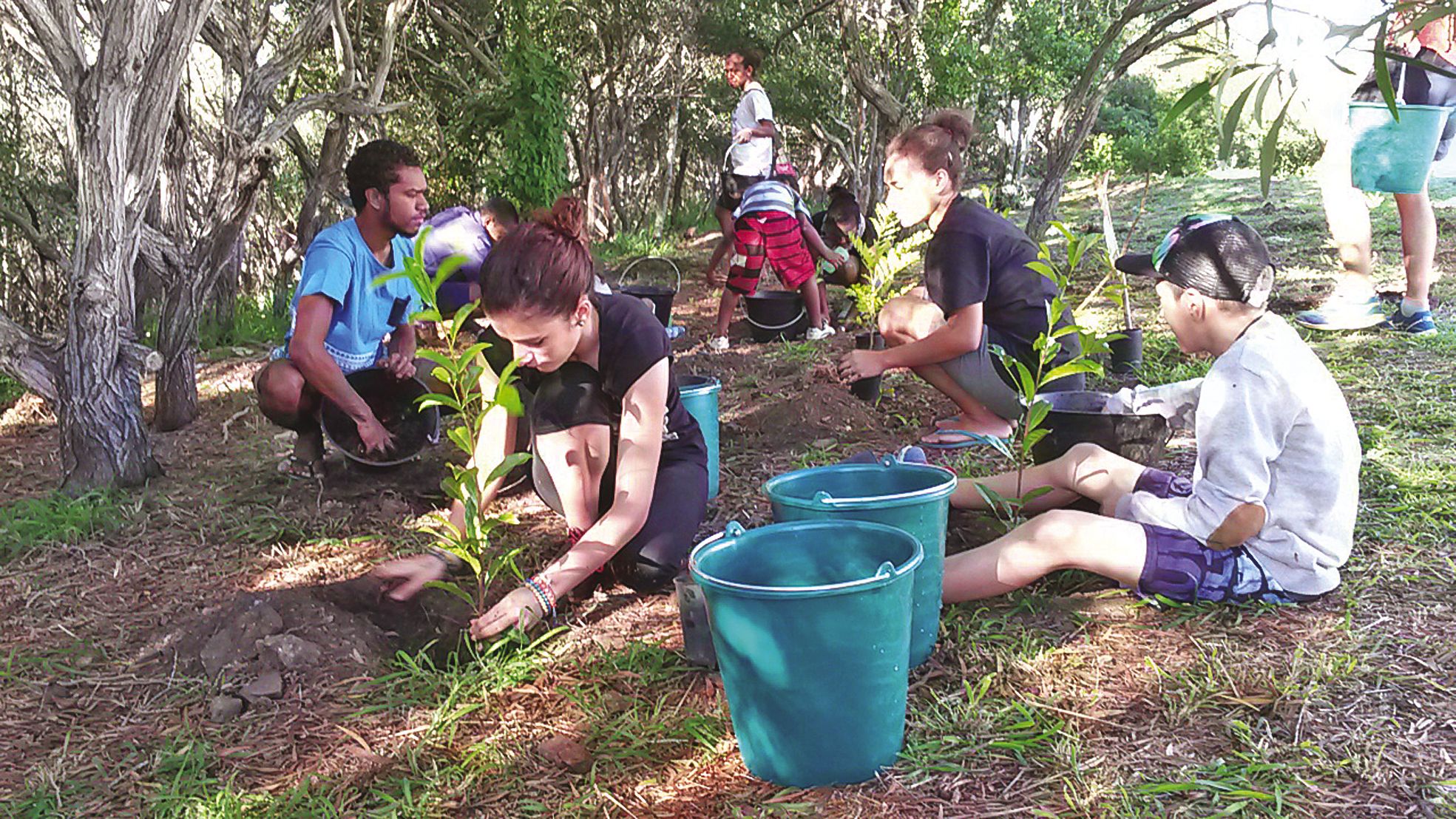 Ouen Toro, samedi 18 juin. Petits et grands, anonymes et associatifs, tous ont donné la main, samedi, lors de la matinée de plantation d'arbres. Plus de 500 personnes se sont succédé pour mettre la main dans la terre.