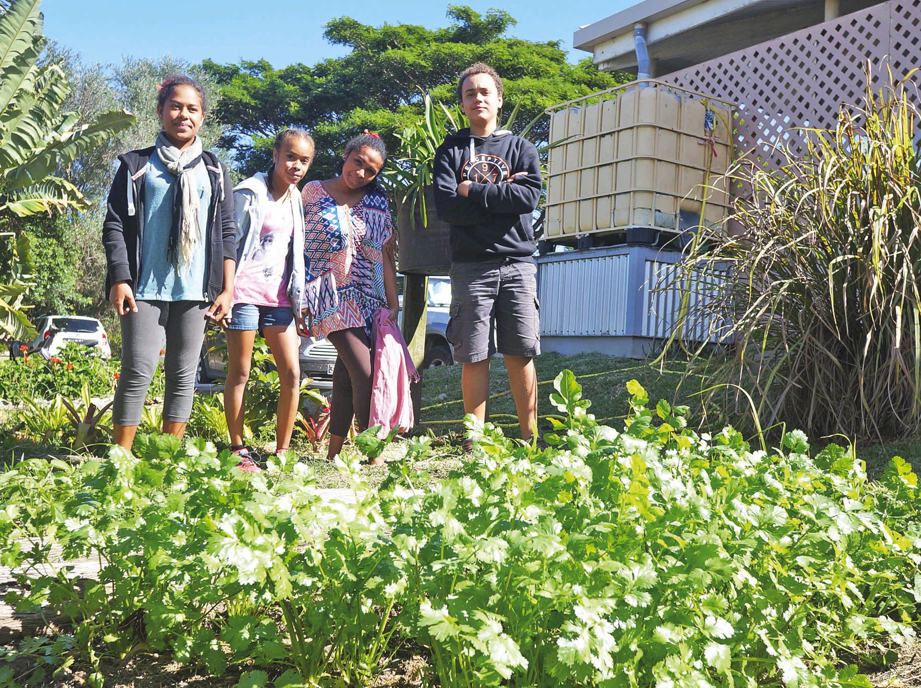 Quatre élèves de la seconde développement durable, Yamila, Harmonie, Anastasia et Steven, devant leur potager.