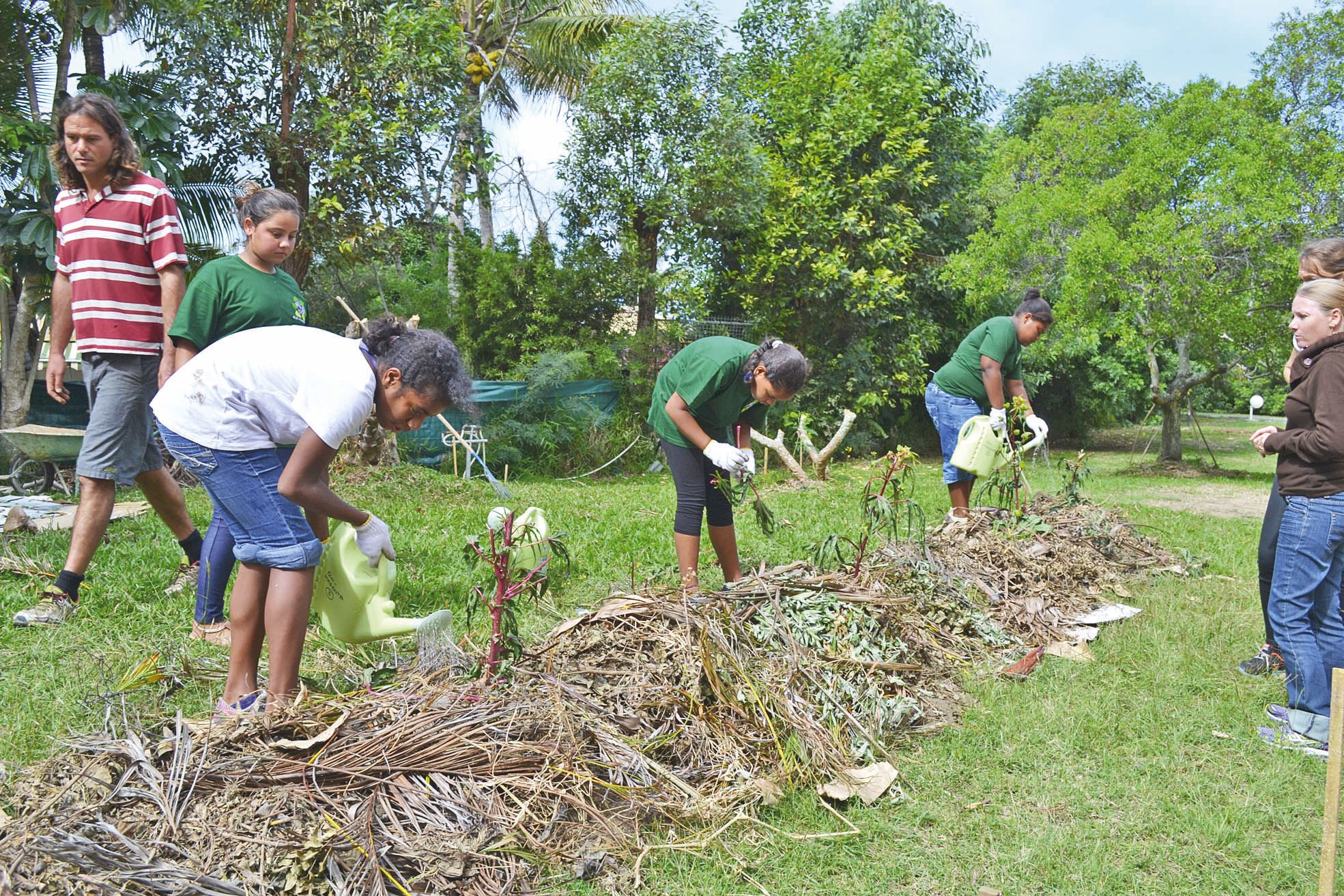 Collège de Magenta, lundi 18 juillet. Après avoir planté et arrosé le chou kanak, les élèves se sont attaqués aux pieds  de maïs. Ils sont protégés par du paillage que le groupe a récupéré directement sur le terrain.