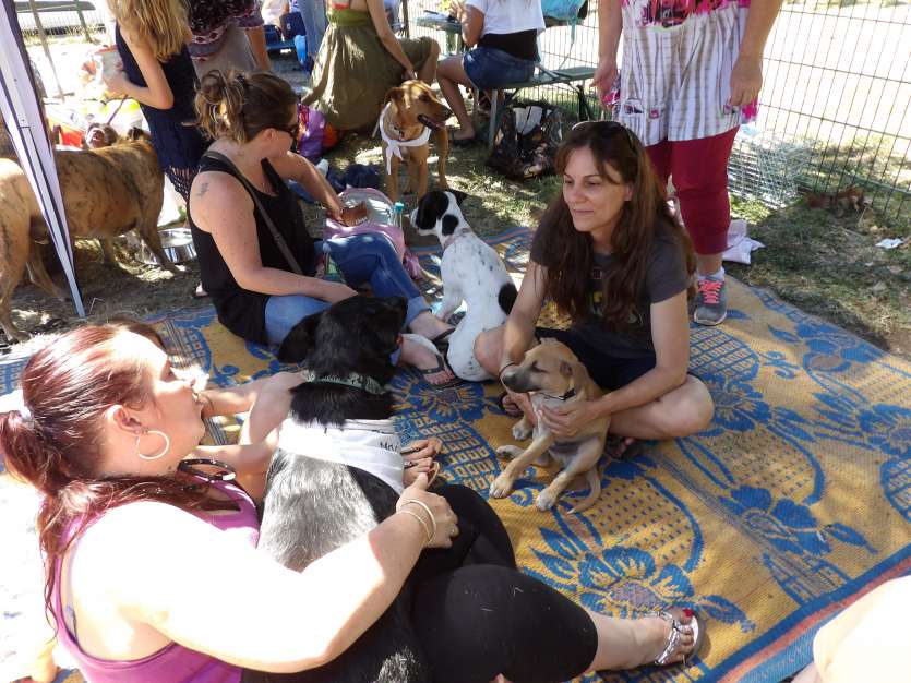 Matinée d'adoption de chiots au parc Brunelet organisée par l'association La Bande à nounou