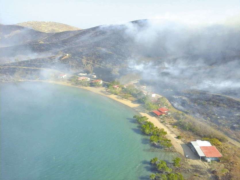 Sur l’îlot Puen, plus de 200 hectares de végétation ont été détruits à cause d’un feu de campeurs mal éteint. 99 % des incendies sont d’origine humaine.