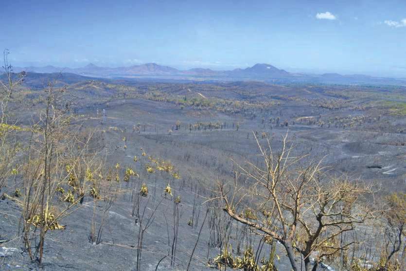 Paysage de désolation après l’incendie du 19 octobre. Le lien entre ce feu et les personnes interpellées reste à établir.