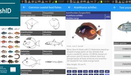 Pêchez avec votre smartphone pour mieux reconnaître les poissons !