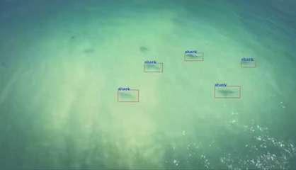 [VIDÉO] L'Australie va déployer des drones détecteurs de requins