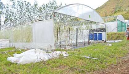 Cyclone Cook : Plus de 360 millions de francs pour les agriculteurs sinistrés