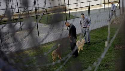 Dans une prison hongroise, détenus et chiens retissent des liens