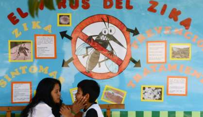 Zika: pas de raison de paniquer en Europe et aux Etats-Unis