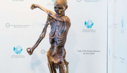 Ötzi 