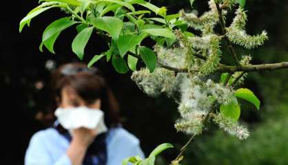 Voyage au coeur des acariens chez ALK, le géant danois des allergies respiratoires