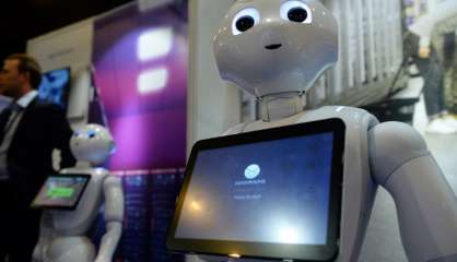 Les robots arrivent, mais pour quoi faire?