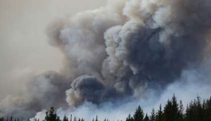 Canada: le feu de forêt Fort McMurray hors de contrôle