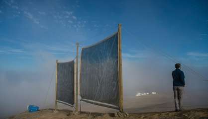 Le désert chilien d'Atacama étanche sa soif grâce au brouillard