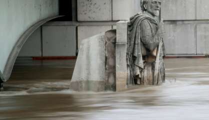 Crue Seine: 