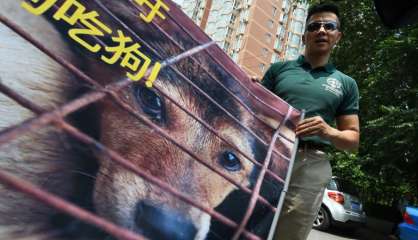 Festival de la viande de chien en Chine: les ONG aboient, l'appétit redouble