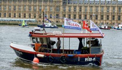 Flottille pro-Brexit sur la Tamise, Cameron menace d'une cure d'austérité