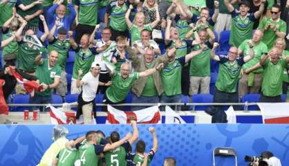 Euro 2016 - L'Irlande ne perd pas le nord sous l'orage