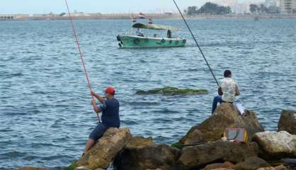 Migrations: Frontex s'inquiète de la hausse des traversées au départ d'Egypte