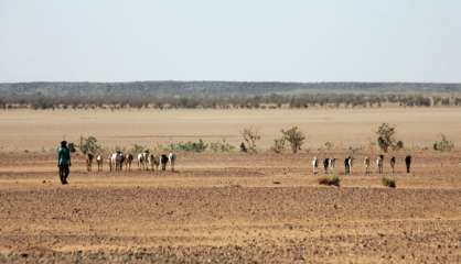 Niger: 34 migrants dont 20 enfants retrouvés morts dans le désert