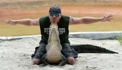 Plus d'alligators, plus d'humains: la cohabitation tourne au drame en Floride