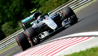 GP de Hongrie: Nico Rosberg (Mercedes) en pole position