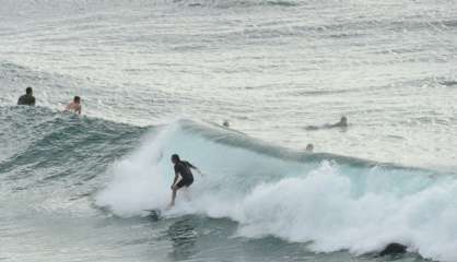 L'Australie, haut lieu du surf, a peur des dents de la mer