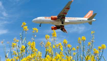 Brexit: EasyJet demande un certificat de transporteur aérien dans un autre pays de l'UE