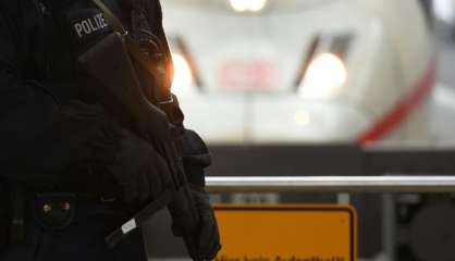 Allemagne: un homme agresse des passagers d'un train à la hache 