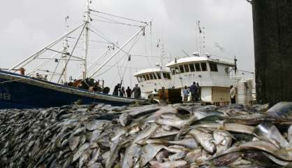 L'UE interdit la pêche en eaux profondes à plus de 800 m