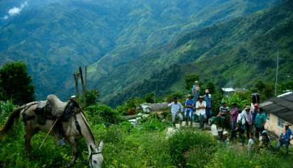 La Colombie lance avec les Farc un plan de substitution de la coca