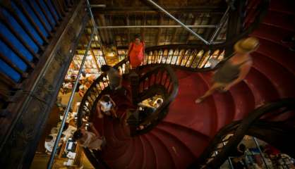 Sur les traces de Harry Potter à Porto, ville qui a inspiré Rowling