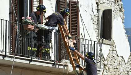 Dans les ruines du séisme italien, chacun cherche son chat