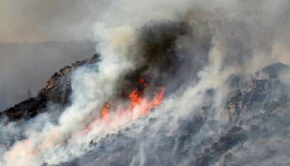 Incendie maîtrisé dans les Pyrénées-Orientales, 1.000 hectares détruits