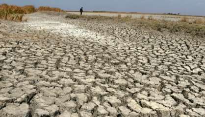 Températures, gaz à effet de serre et montée des eaux à des niveaux records en 2015