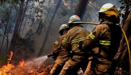 Madère: incendies maîtrisés dans l'archipel