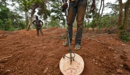 En Côte d'Ivoire, on détruit les plantations cacao pour chercher de l'or