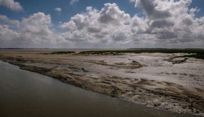 La baie de Somme, attention fragile ! 