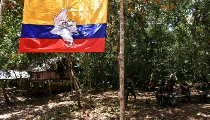 Colombie: Conférence des Farc pour passer de la guerre à la paix