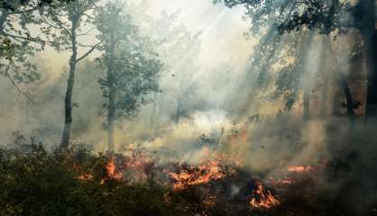 Incendies dans le Var: 