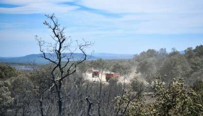 Incendies dans le Sud-Est: le dernier foyer important à Artigues 