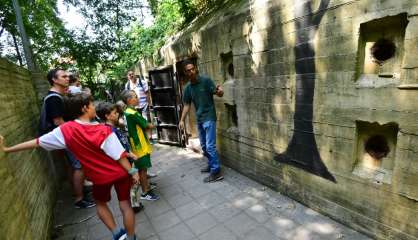 Aux Pays-Bas, exhumer les bunkers nazis