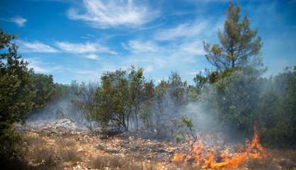 Incendies: 3 hommes présentés à un juge en vue d'une mise en examen 