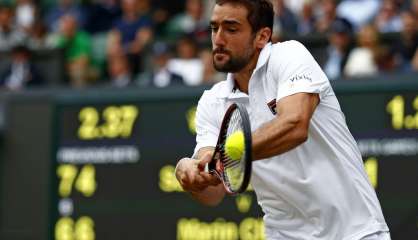 Wimbledon: première finale pour Cilic 