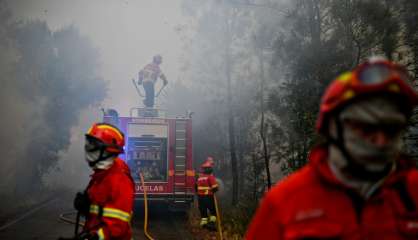 Portugal: les feux de forêt continuent de ravager le centre du pays