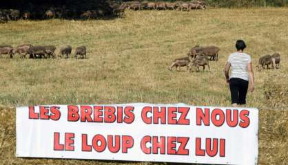 Aveyron: rassemblement contre le 