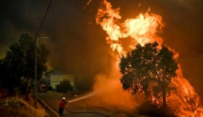 Incendies au Portugal: des brasiers actifs dans tout le pays