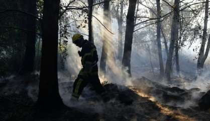 Feux en Haute-Corse: un homme mis en examen et écroué pour incendie volontaire à Bastia