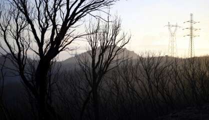 Incendie en Haute-Corse: 300 hectares de végétation parcourus