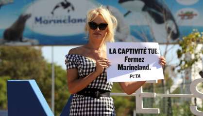 Pamela Anderson dénonce la captivité des animaux devant le Marineland d'Antibes