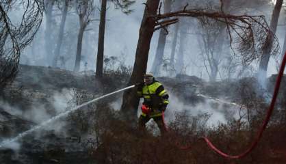 Bouches-du-Rhône: un homme soupçonné d'avoir provoqué 17 incendies écroué